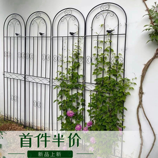 铁线莲爬藤架蔷薇月季种植花园栅栏户外花架支撑杆铁艺植物攀爬架