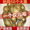 500g散装野生罗汉果，干果大果广西桂林特产，永福罗汉果花茶
