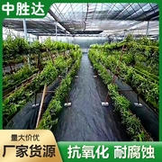 PE防草布除草布农用防老化果园果树保湿园林园艺地布加厚遮盖草布