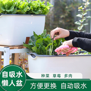 自吸水懒人塑料花盆种菜草莓神器，家庭阳台花盆，长方形霍伦盆种植箱