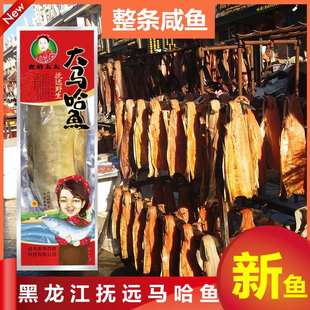 大马哈鱼整条 东北黑龙江抚远腌鱼 洄游新鲜腌制特产咸鱼干2-3斤