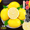 四川安岳黄柠檬新鲜皮薄一级无籽香水鲜甜现摘青柠檬水果5斤