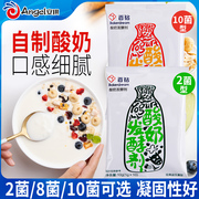 百钻酸奶发酵剂2菌，10菌酸奶菌粉乳酸，菌种益生菌型自制酸奶发酵菌