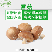 新鲜香菇  新鲜食用菌  500克 江浙沪皖5件
