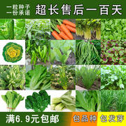 22种蔬菜种子任选   阳台种菜四季播菜籽  春夏季种菜  5元