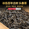 普洱茶生茶散茶2023年冰岛古树，头春纯料特级生普洱散茶茶叶500克