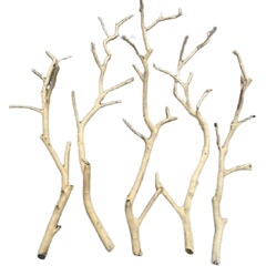 干树枝原木杈艺术干枝枯枝枯木树干鸟架造型壁挂衣架吊顶龙骨装饰