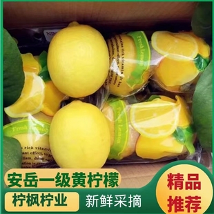 安岳尤力克黄柠檬(黄柠檬，)新鲜果园直发双胞胎，5斤装柠檬皮薄汁多