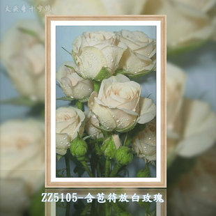 7象ZZ5105-含苞待放白玫瑰十字绣2024手工客厅卧室花卉