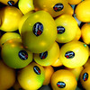 新西兰柠檬进口香水柠檬9个收藏送1个胜新奇士柠檬西柠新鲜水果