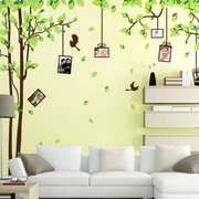大型客厅沙发电视背景墙墙贴纸贴画相框照片墙面装饰品记忆树绿叶