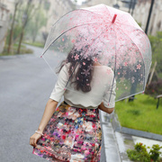 日本樱花伞韩国透明雨伞折叠小学生公主，儿童女孩拱形小清新长