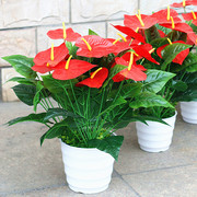 红掌仿真花盆栽套装塑料花假花，室内客厅落地装饰仿真植物盆栽摆件