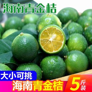 5斤海南小金桔新鲜应季一级水，果酸小青桔，柠檬奶茶榨汁薄皮橘