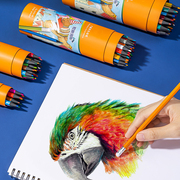 开学季 彩色铅笔 水溶性彩铅 学生用 无毒可擦 美术生流畅画笔