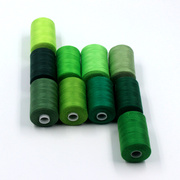 家用缝纫线绿色系10卷套装1000码4G02手缝线DIY彩线轴绣花线