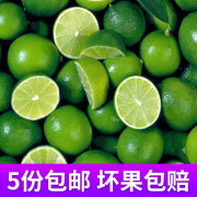 新鲜青柠檬越南品种 清香皮薄多汁小酸绿大果越南餐厅用