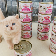 法国进口皇家孕猫1-4月离乳期幼猫奶糕罐头195g罐餐包85g多罐套装