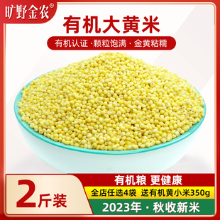 东北有机大黄米2斤2023秋新米正宗糯小米黍米粘糯黄米粽子米杂粮