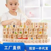 儿童识字100片汉字趣味认知多米诺骨牌幼儿园益智玩具木制积木