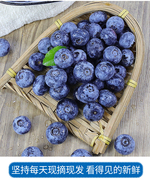 进口蓝莓新鲜水果当季蓝梅鲜果高山怡颗甜莓孕妇即食大果整箱速发