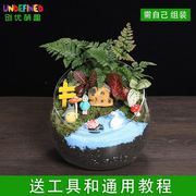 苔藓微景观盆栽绿植diy材料，包桌面(包桌面，)迷你植物创意玻璃球生态瓶套装