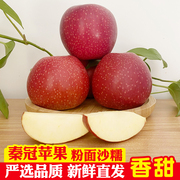 陕西秦冠苹果当季新鲜宝宝，刮泥水果10斤整箱应季老人粉面沙苹果5