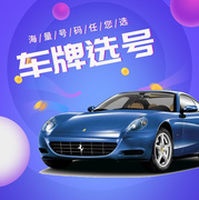上海车牌选号新能源车新车12123自编自选查询被占用车牌号码预选