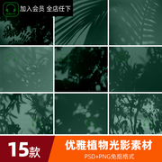 E优雅自然植物光影阴影光斑效果PNG背景图片PS后期叠加素材图