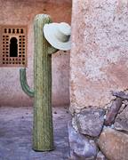 摩洛哥沙漠草编仙人掌手工编织家具摆设装饰艺术，客厅进口民宿摆件