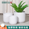欧式白色陶瓷花盆大小口径绿萝兰花多肉植物盆栽现代家用桌面高档