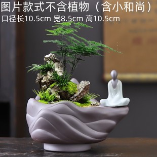 紫砂花盆和尚透气陶土，盆绿植盆栽蝴蝶兰，兰花文竹多肉花盆