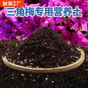 三角梅专用土营养土花土开花盆栽肥料泥土种植土培养土通用发酵