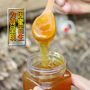 秦岭深山野生百花蜜农家自产纯正土蜂蜜一年割蜜一次 1000g