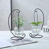 创意悬挂式透明水培玻璃花瓶插花盆，绿萝壁挂小鱼缸简约现代小吊瓶