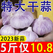 山东金乡紫皮大蒜头，干蒜5斤2023新鲜祘头籽10斤农家大蒜