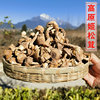 云南本色姬松茸干货500g特级野生菌煲汤食材蘑菇非松茸菌巴西菇