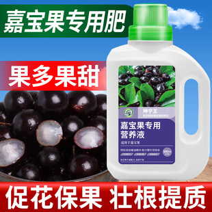 坤宁王嘉宝果营养液专用肥料珍宝，果小硕挂果树，葡萄复合颗粒缓释肥