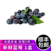 新鲜蓝莓鲜果1盒现摘美味浆果，水果辅食材料多省任搭5件