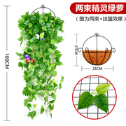 仿真植物壁挂假花藤条，藤蔓绿植墙面客厅，室内绿萝吊兰装饰挂墙吊篮