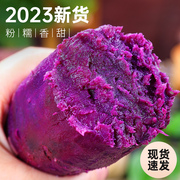 紫薯新鲜地瓜10斤红薯当季山芋小香蜜烟薯沙地板栗番薯蔬菜5