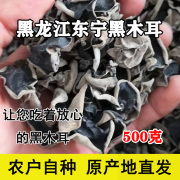 东北正宗黑龙江东宁黑木耳小碗耳，农家干货非野生黑厚农家特产新鲜