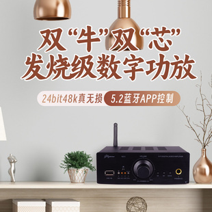 5.2蓝牙无损hifi发烧级功放，家用数字大功率桌面房间高保真耳放