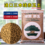 赤玉土三本线，日本进口硬质盆景颗粒土营养，土大整包约20斤
