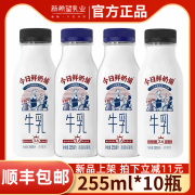 新希望今日鲜奶铺255ml*10瓶整箱儿童营养早餐网红纯牛奶冷鲜牛奶