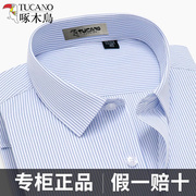 啄木鸟蓝色条纹衬衫男士，长袖短袖夏季商务，正装职业中青年棉白衬衣