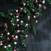 仿真玫瑰花藤假花藤条，空调暖气管道藤蔓缠绕装饰塑料，植物墙面遮挡