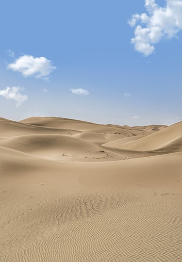 沙漠古装摄影背景布敦煌异域西域古风拍照主题背景紫霞仙子