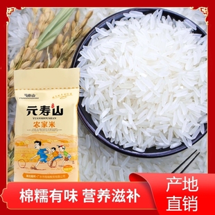 年货节20斤当季新米长粒香米南方原生态长粒米大米一级软糯