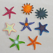 软胶仿真五角海星模型益智海洋，动物鱼缸沙滩装饰摆件儿童认知玩具